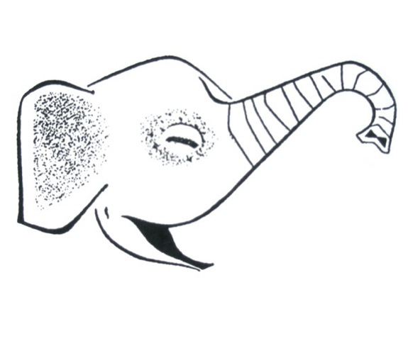 Loading Image