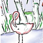 Flamingo1.jpg