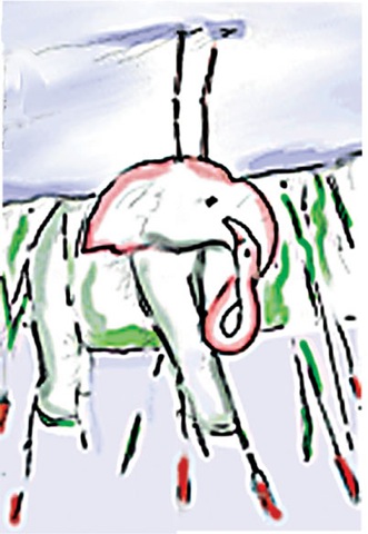 Loading Image