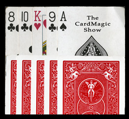 Card Magic Show, magic, entertainment, fairs, festivals, party planners, trade shows